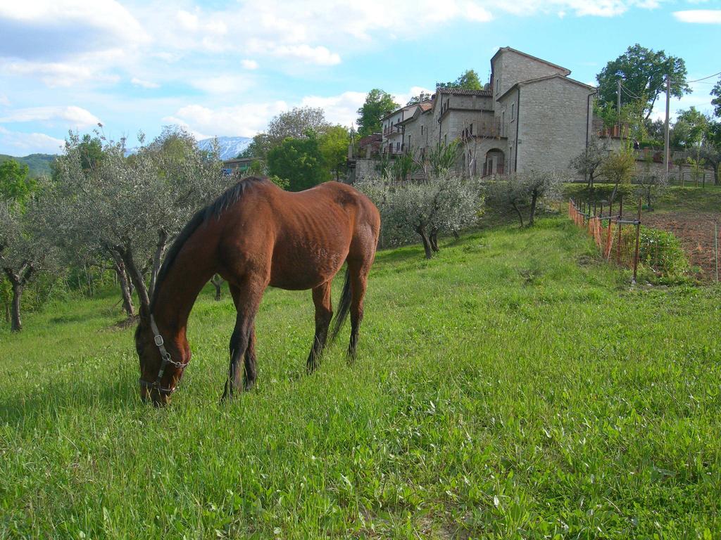 Agriturismo Borgo San Martino Abbateggio Exterior photo