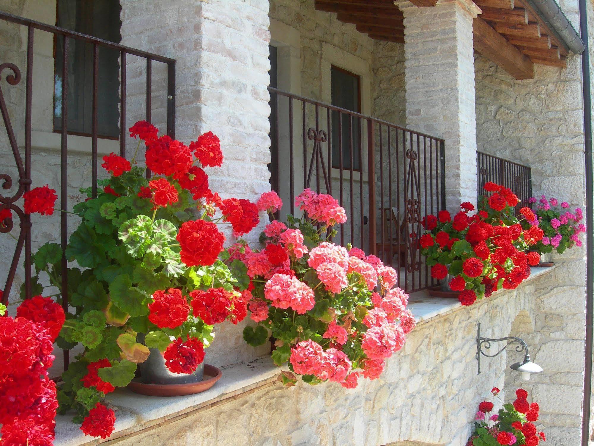 Agriturismo Borgo San Martino Abbateggio Exterior photo